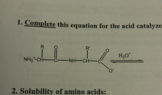 1. Complete this equation for the acid catalyze R O R H3O NH3-CHCNH-CH-C 2. Solubility of amino acids: