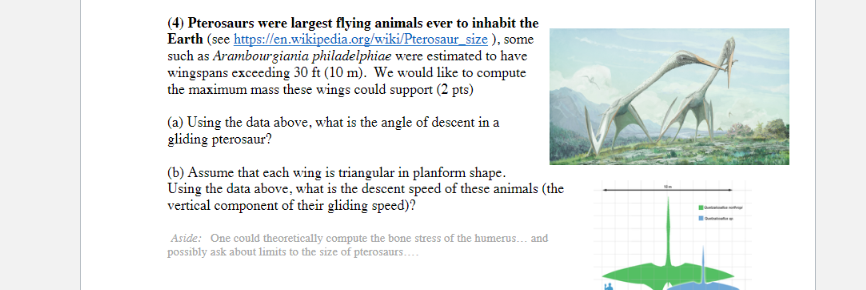 Pterosaur size - Wikipedia