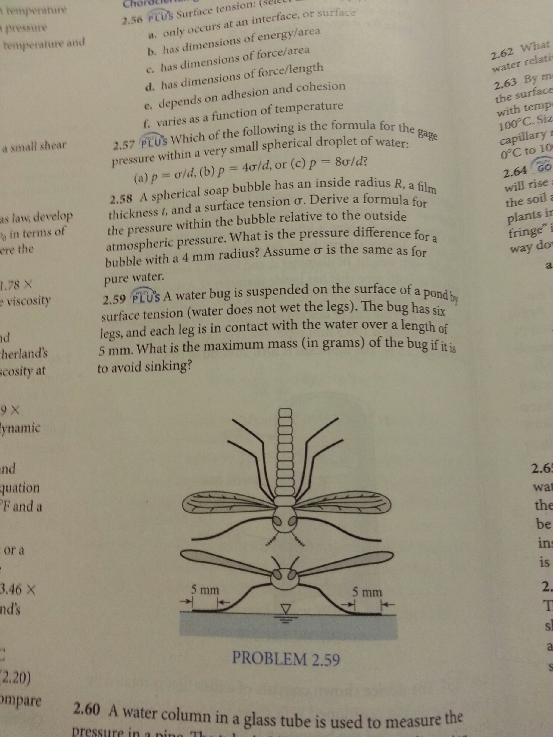 Solved A Water Bug Is Suspended On The Surface Of A Pond By Chegg Com