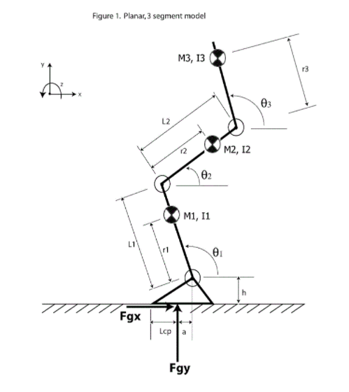 Figure E1: A conceptualised body segment model for the batting