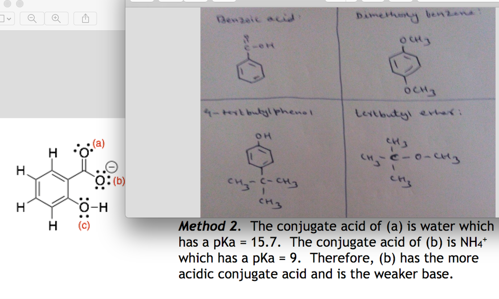 Solved Below Are The Structures For Benzoic Acid Chegg Com