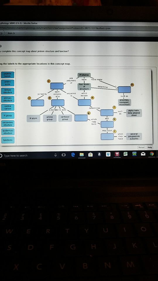 Can You Complete This Concept Map About Protein Structure And Function? GBiology: MB#3 (Ch 3) Mozilla Firefa 3)Item 9 U| Chegg.com