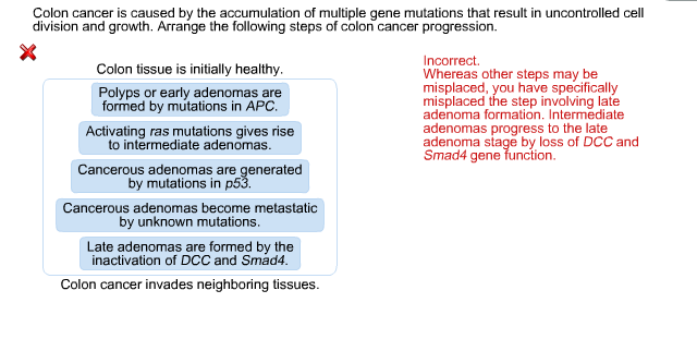 Solved: Colon Cancer Is Caused By The Accumulation Of Mult ...