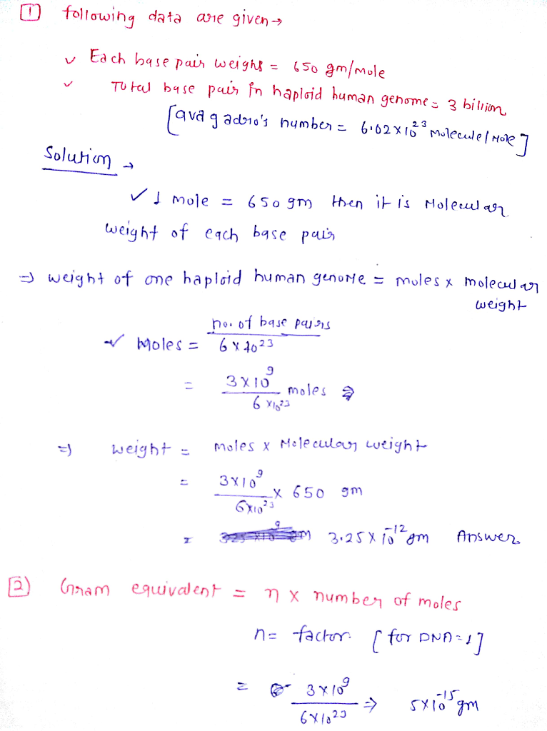 Each Dna Base Pair Weighs On Average 650 Grams Mol There Are 3 Billion Base Pairs In One Haploid Human Genome How Much Does One Haploid Human Genome Each Dna Base Pair Weighs On Average 650 Grams Mol There Are 3 Billion Base Pairs In One Haploid Human Genome How Much Does One Haploid Human Genome