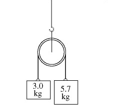IAAF 1,50 kg 0,75 kg 1,75 kg 1,00 kg 2,00 kg HAEST Nelco Disque de comp/étition Lo Spin