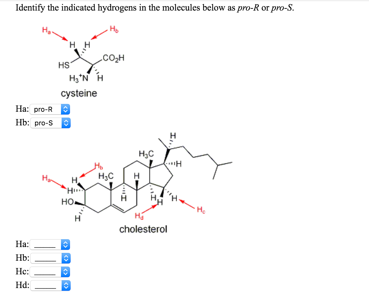 Identify the indicated hydrogens in the molecules