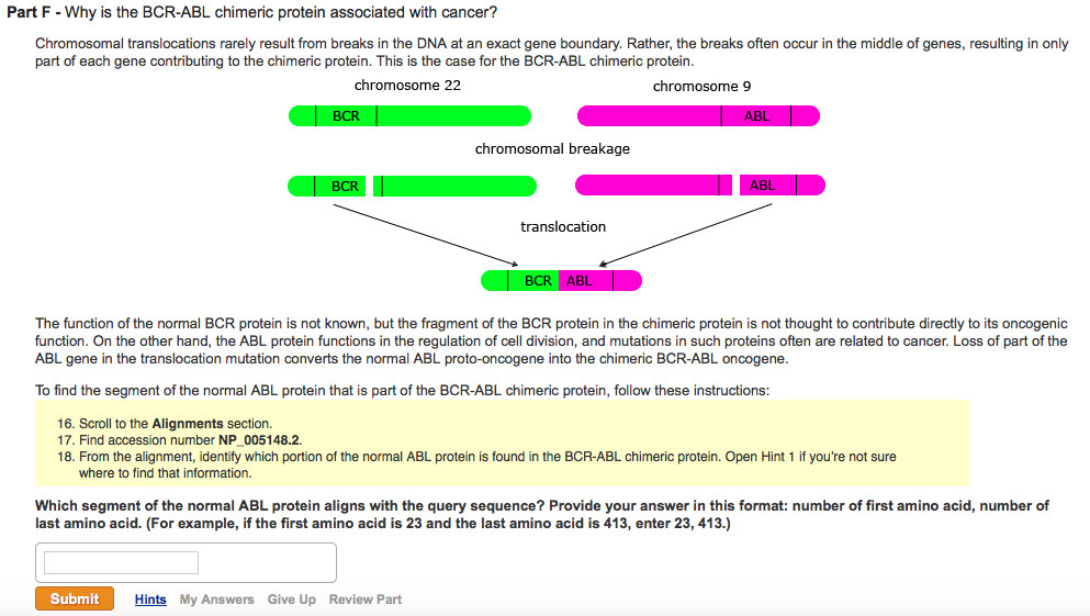 Translocation definition genetics image