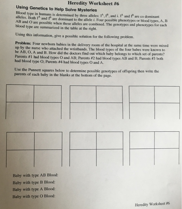 Solved: Heredity Worksheet #6 Using Genetics To Help Solve ...