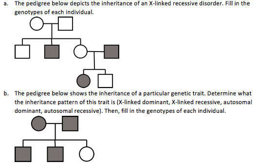 Solved: The Pedigree Below Depicts The Inheritance Of An X... | Chegg.com