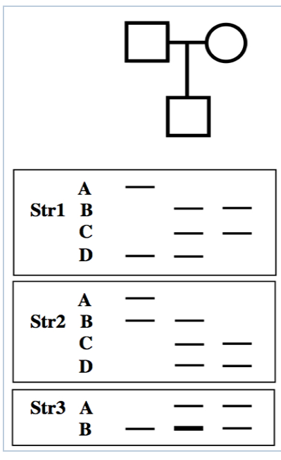 Only Fraction Of Students Are Prepared >> Solved Only A Small Fraction Of Human Fetuses With Trisom Only Fraction Of Students Are Prepared >> Solved Only A Small Fraction Of Human Fetuses With Trisom