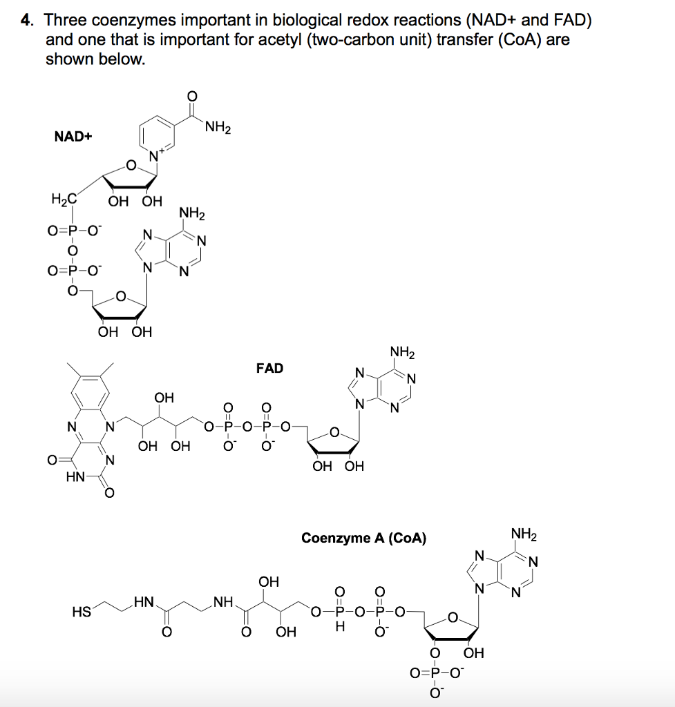 Solved 4 Three Coenzymes Important In Biological Redox R Chegg Com