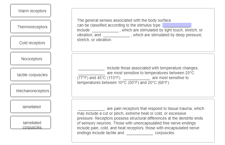 Solved Warm Receptors The General Senses Associated With Chegg Com