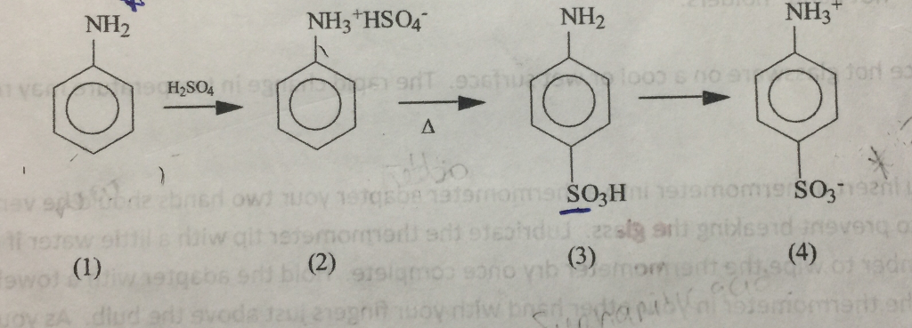 Nh3 h2so4