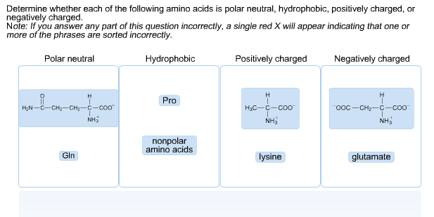 hydrophobic amino acids and neutral polar amino acids