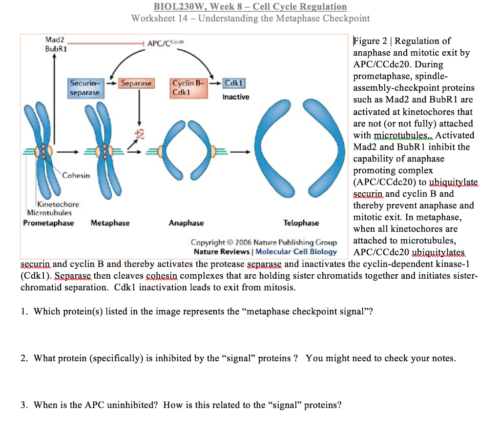 shop mathematical biology