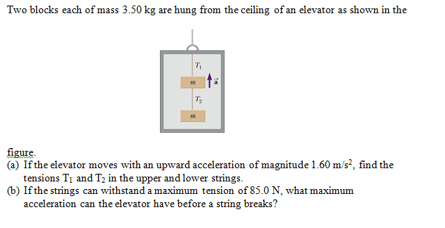 Two Blocks Each Of Mass 3 50 Kg Are Hung From The Chegg 