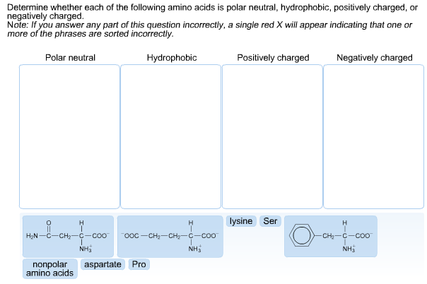 positively charged amino acids