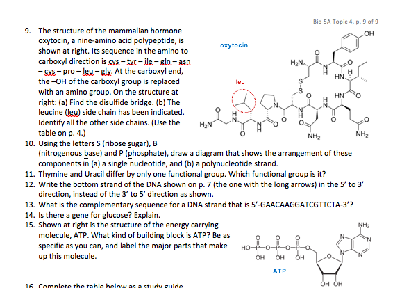 Download Solved: The Structure Of The Mammalian Hormone Oxytocin, A ...