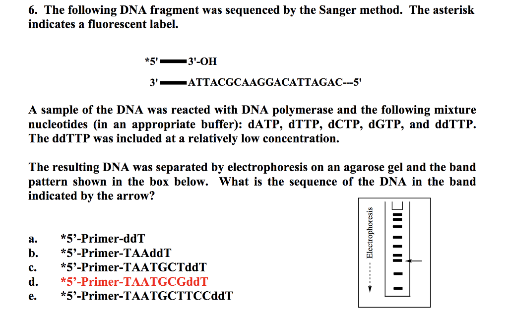 solved 6 the following dna fragment