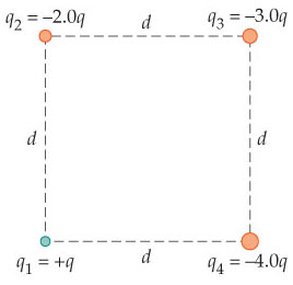 Solved Find The Direction And Magnitude Of The Net Chegg Com