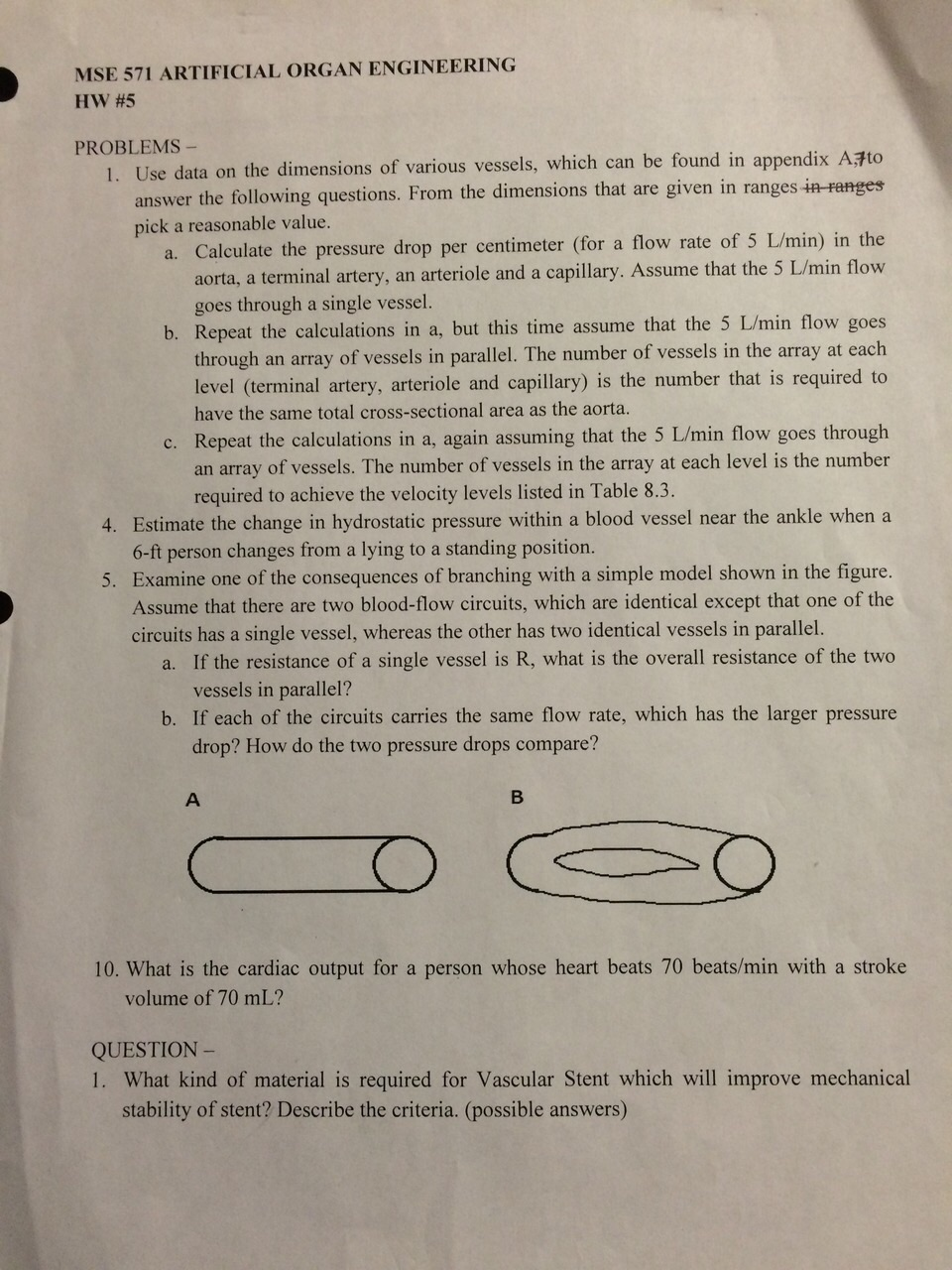 Just answers homework help