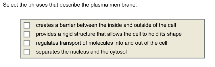 Solved Which Of The Following Statements About Lysosomes Are | Chegg.com Solved Which Of The Following Statements About Lysosomes Are | Chegg.com