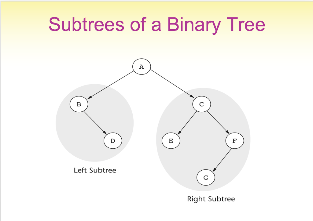 Solved A Postorder Traversal Of The Tree On Slide 22 12 Y Chegg Com