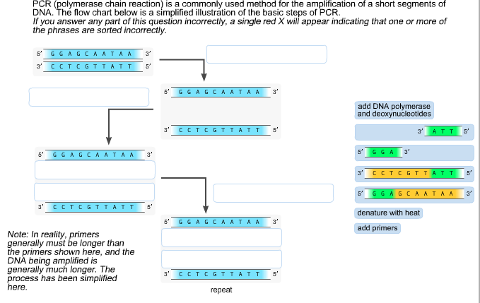 Pcr pdf notes image