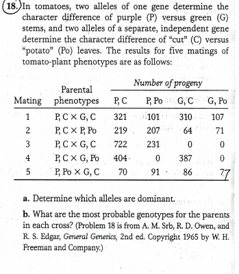 Solved 18 In Tomatoes Two Alleles Of One Gene Determine Chegg Com