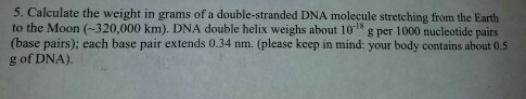 Question: Calculate the weight in grams of a double-stranded DNA molecule stretching from the Earth to the ...