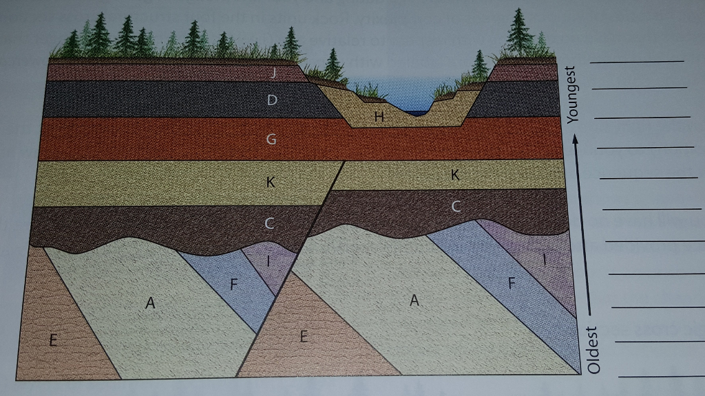 Solved: In This Exercise, You Apply The The Principles Of ...