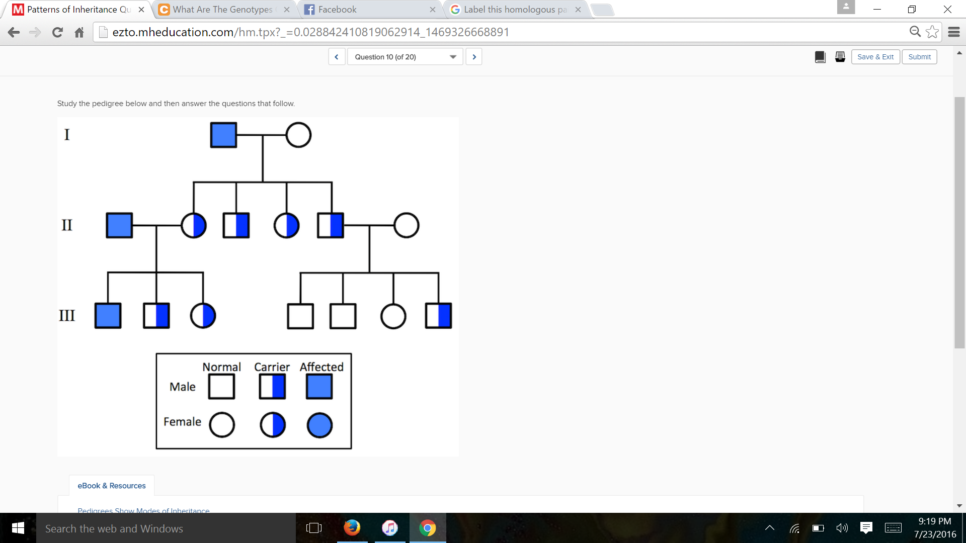 solved-study-the-pedigree-below-and-then-answer-the-quest-chegg