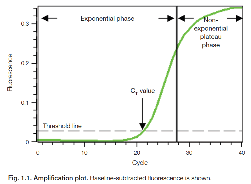 Цикл 20. Real time PCR график. Cycle Threshold value ПЦР. Real-time QRT-PCR преимущества. Real time PCR Amplification Plot.