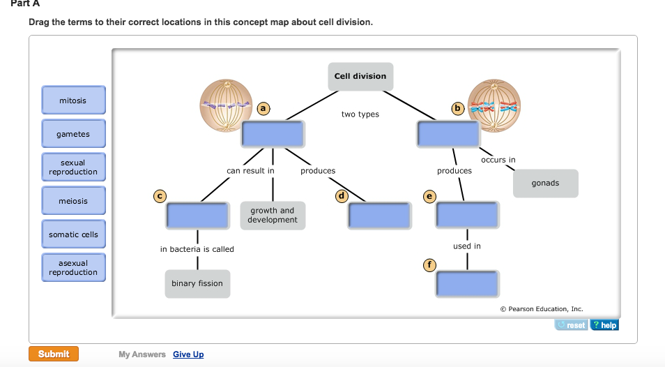 Drag the terms to their correct locations in this.