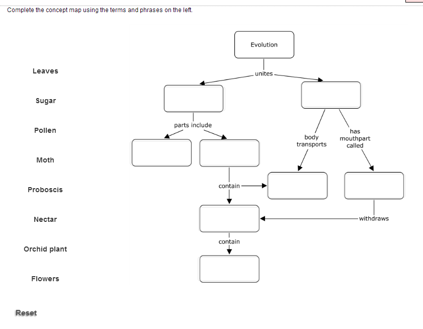 Solved Complete The Concept Map Using The Terms And Phras