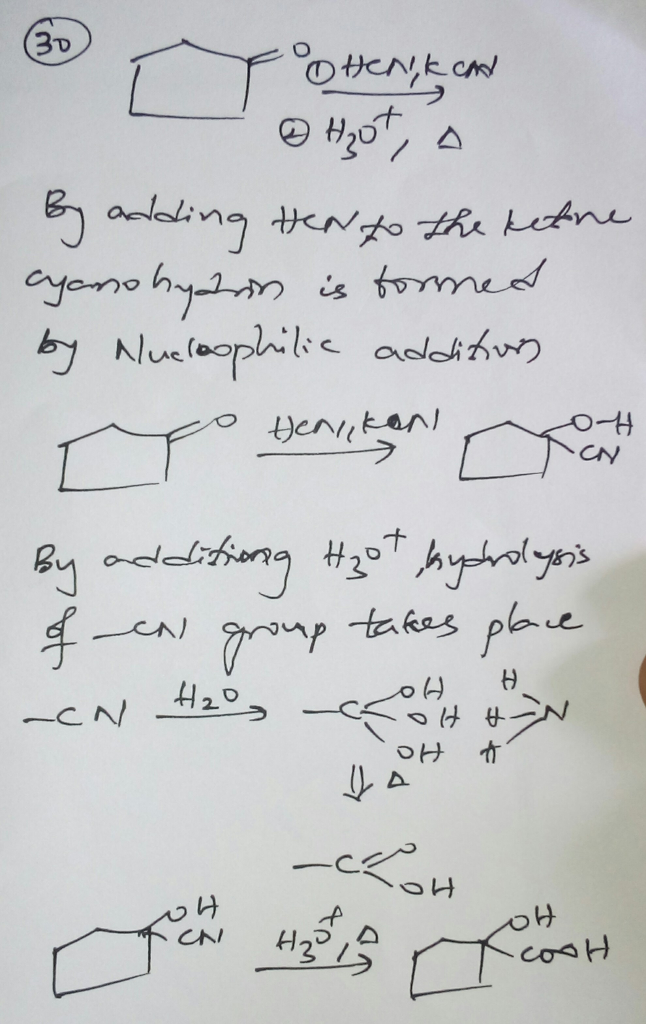 Question & Answer: Provide the major organic product of the reaction shown below. Which sequence ranks the..... 3
