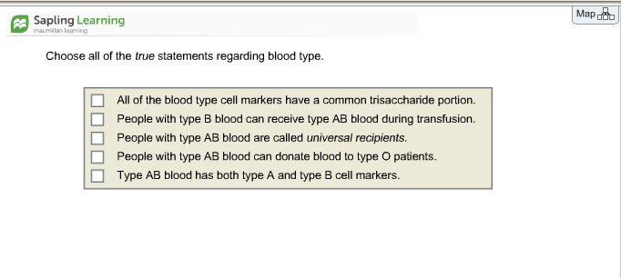 O Positive Blood Type Marker