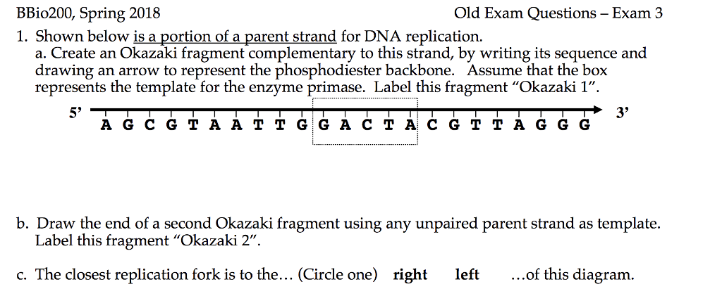 Dna essay questions