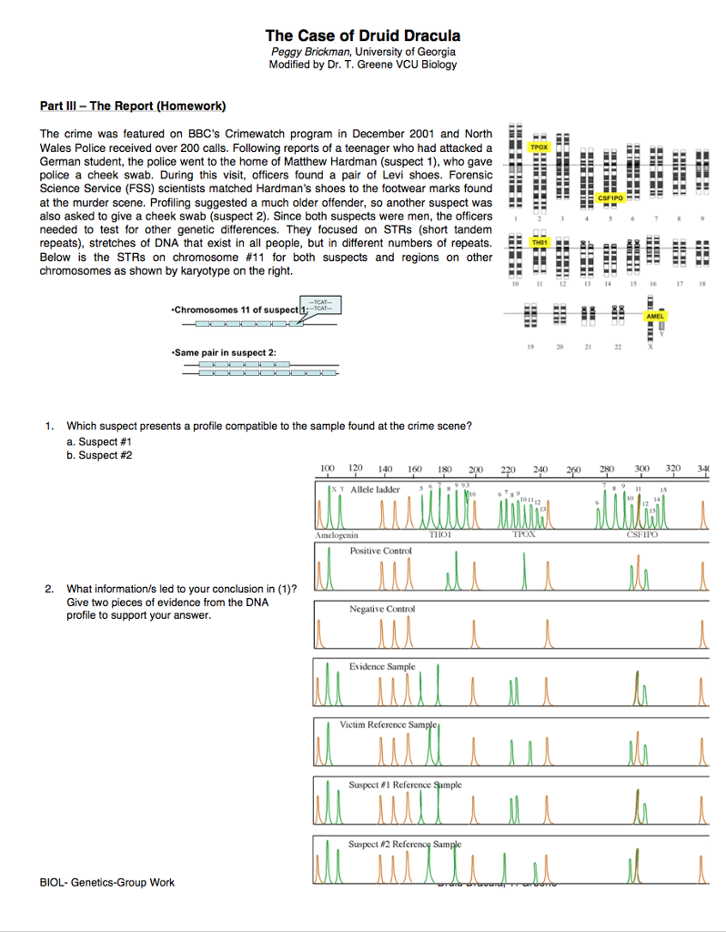 Which of the strands of dna could act as a primer for the dna sequence shown below? image