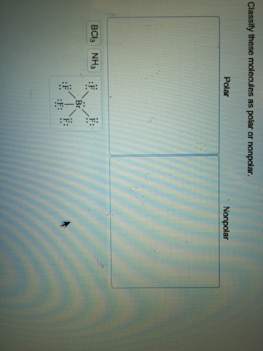 Solved For Each Molecule Below, Specify The Polarity Of T