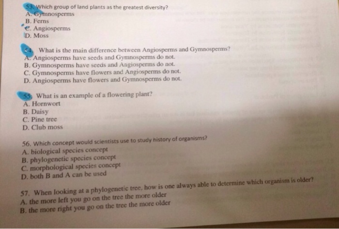difference between angiosperm and gymnosperm