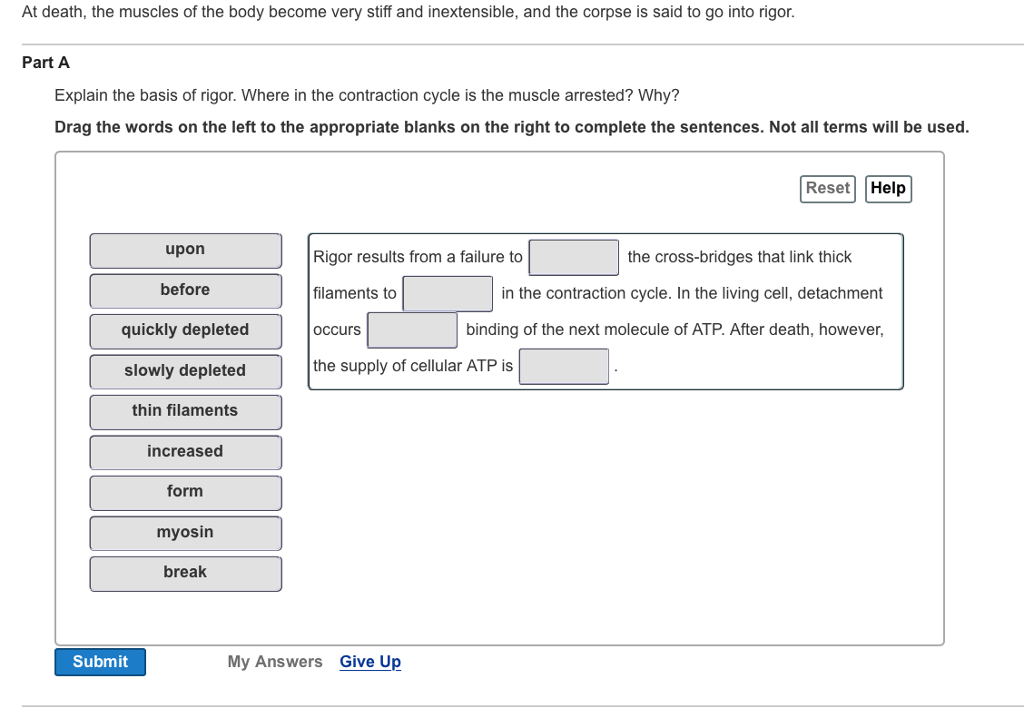 atomic quizlet number Death, The The Muscles Very At Body Solved: Stif Of Become