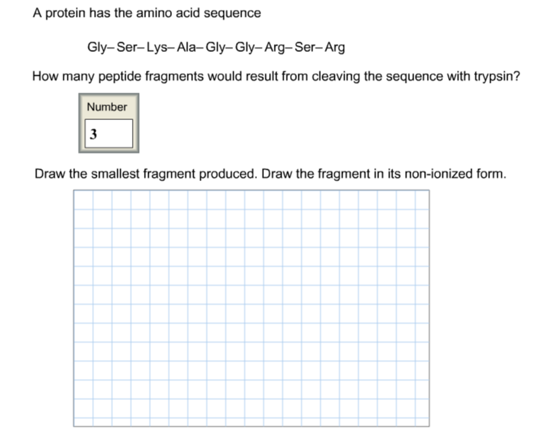 Solved A Protein Has The Amino Acid Sequence How Many Pep