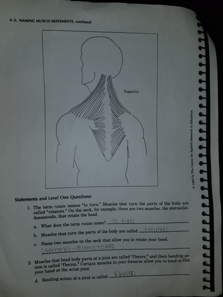 Name Date 4 5 Naming Muscle Movements Instructions Chegg 