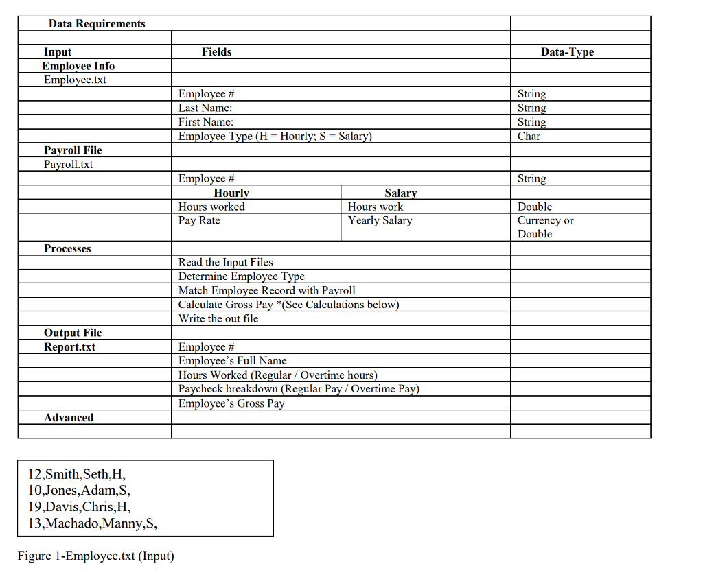 Data Requirements Input Fields Data Tvpe Emplovee Info Employee Txt Employee Last Name Data Requirements Input Fields Data Tvpe Emplovee Info Employee Txt Employee Last Name