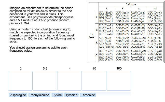 How To Use An Amino Acid Chart