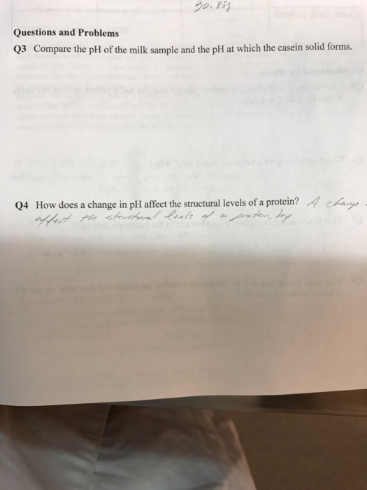 Comparing milk spoilage experiment picture