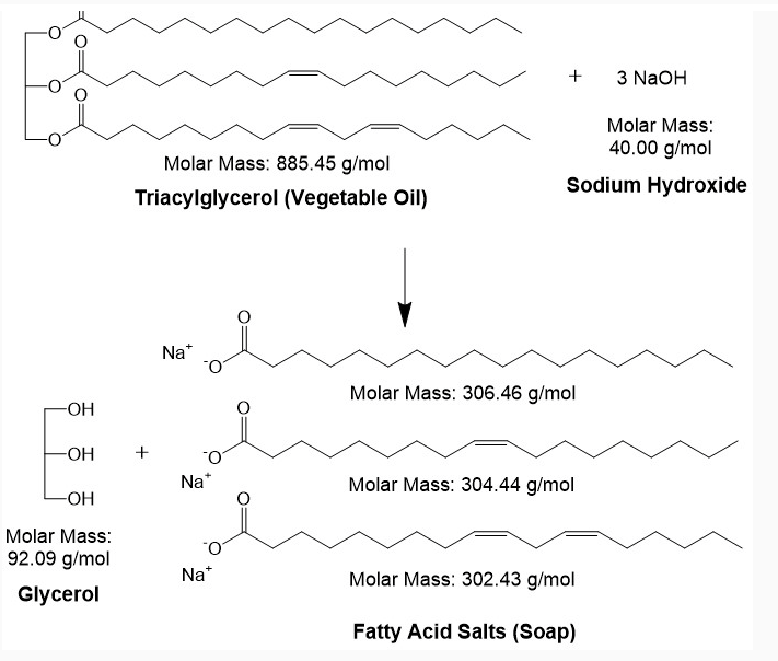 Solved Molar Mass 40 00 G Mol Molar Mass 885 45 G Mol Chegg Com