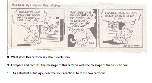 What does this cartoon say about evolution? 9. Com