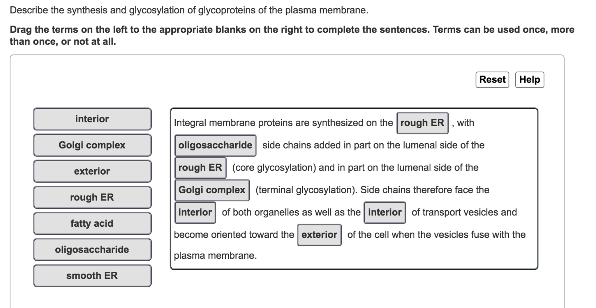 Synthesis of sentences exercises with answers pdf picture